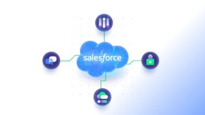 nothing2hide.net salesforce