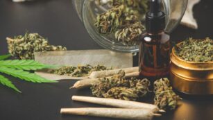 black magic strain, black magic cannabis, shopzaza black magic, black magic marijuana reviews, best black magic strain, black magic weed benefits, buy black magic strain online, black magic strain effects, black magic strain california